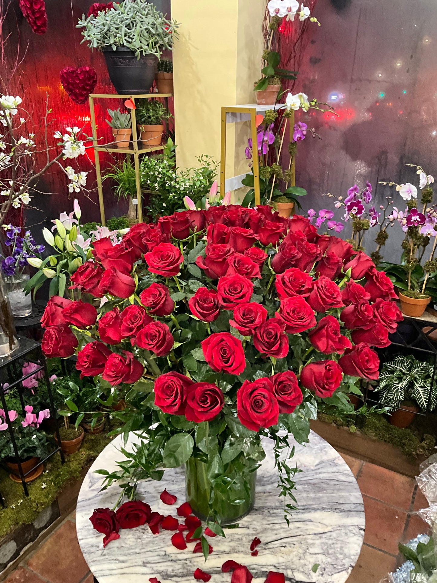 Complete Love: a tall vase of red roses on a marble table with loose roses and petals, orchid plants behind
