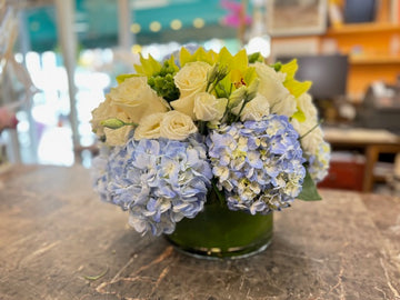 Blue Dream round bowl version, side view: white roses, green orchids and pale blue hydrangea on the shop counter