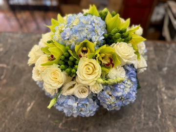 Blue Dream small size in a round bowl, close top view: white roses, green cymbidium orchids, berries and blue hydrangea