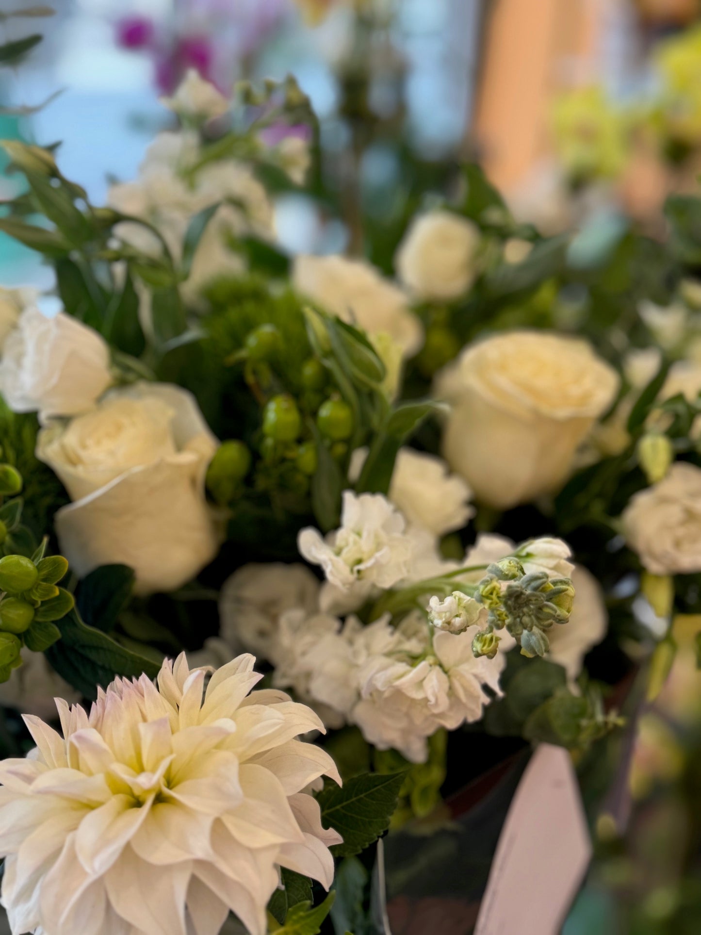 Erly Afternoon close-up of a white dahlia with cream roses, white stock and green hypericum berries