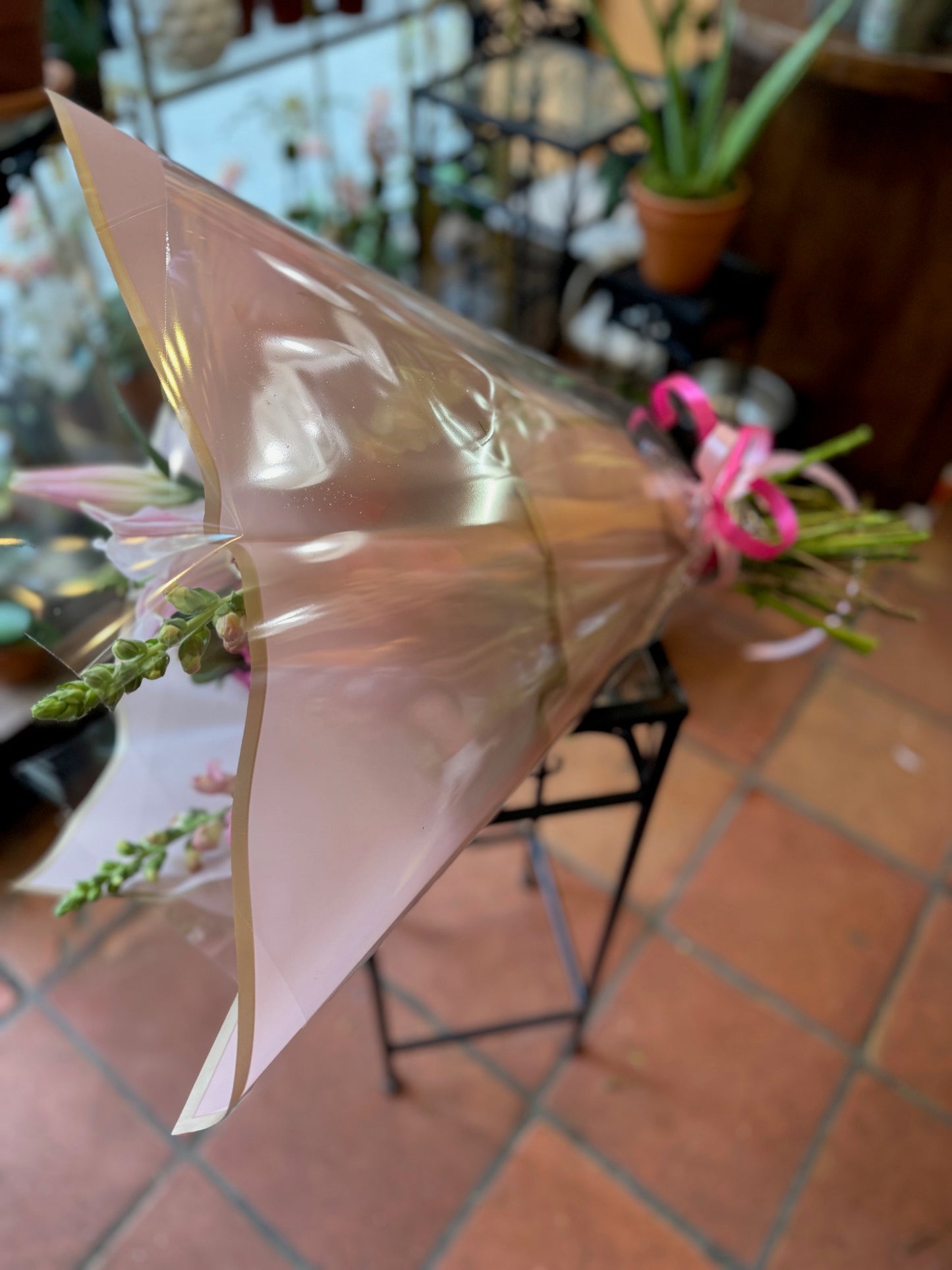 Pink Passion wrapped in clear cellophane and blush paper, tied with a pink ribbon, side view