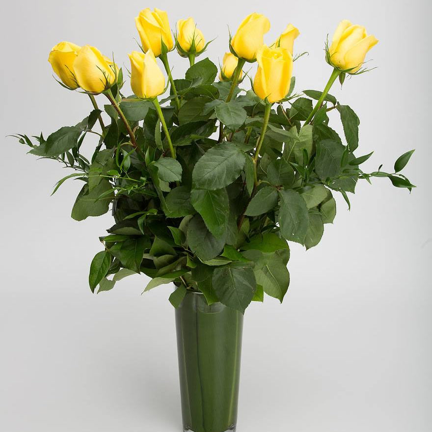 Premium Long Stem Yellow Roses in Vase with Greenery - Jerome Florists NYC