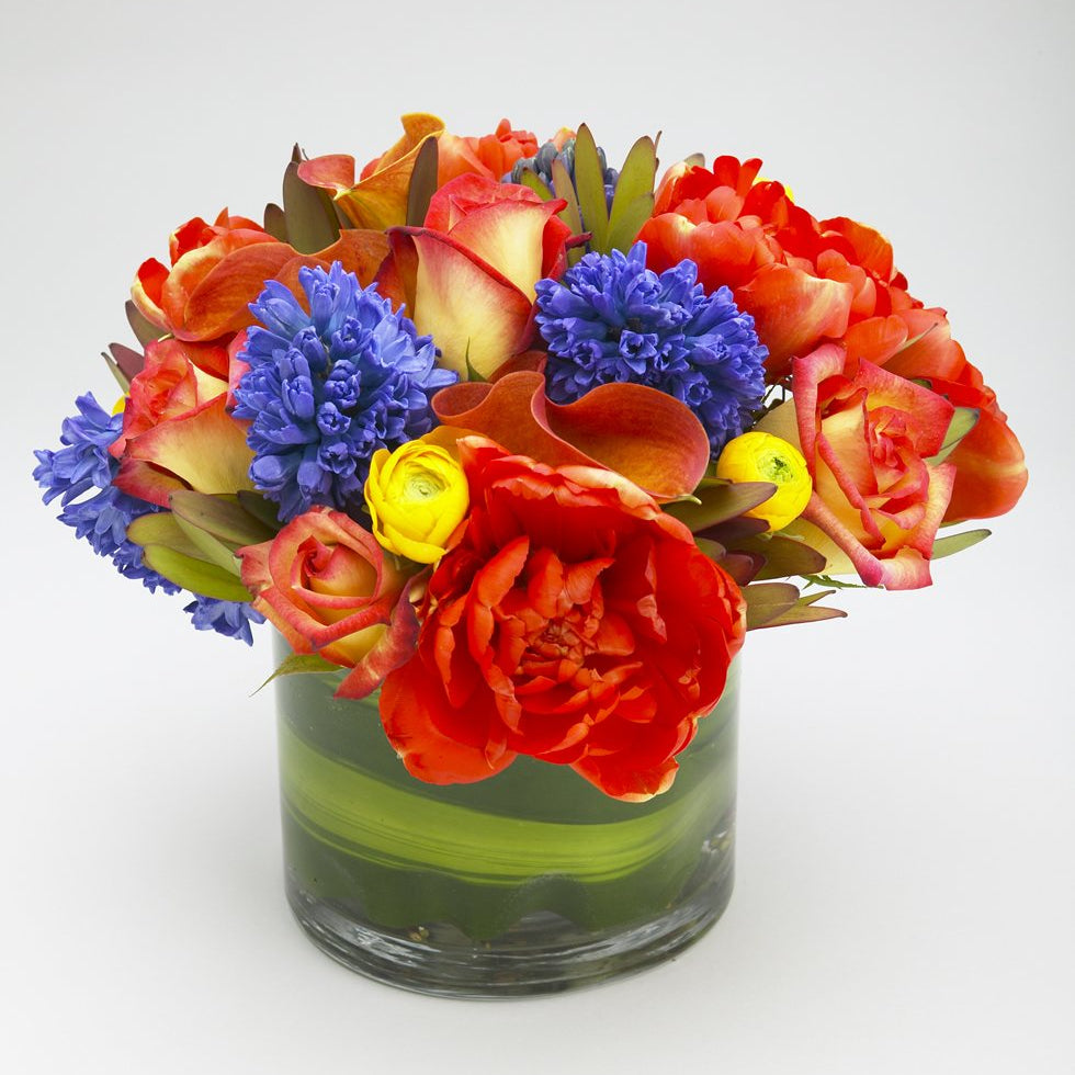 Mischievous with blue hyacinths, orange double tulips, calla lilies and bicolor roses, yellow ranunculus in a glass cylinder