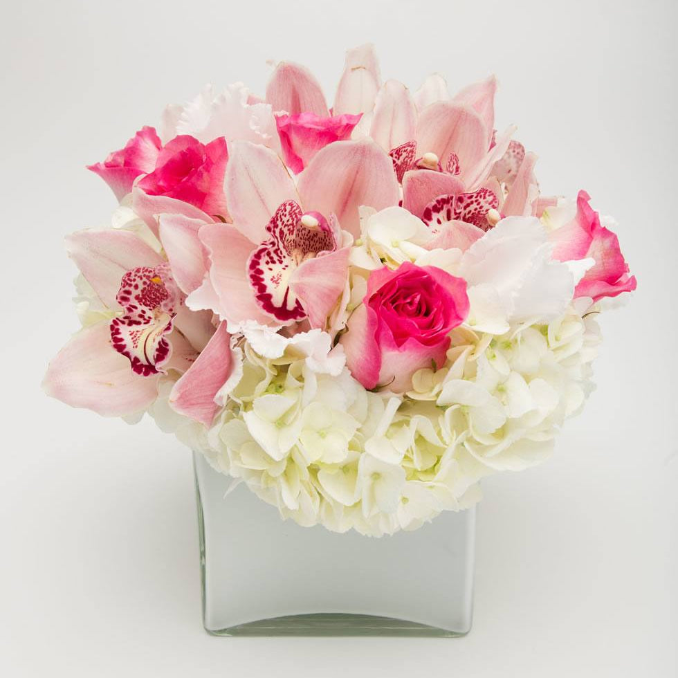 Coquette Flower Arrangement with White Hydrangea, Pink Roses, and Cymbidium Orchids - Jerome Florists