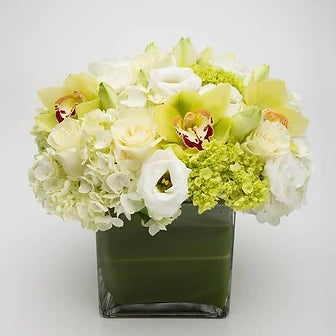 Light Breeze white and green hydrangea, Mondial roses, lisianthus and green cymbidium orchids in a leaf-lined glass cube