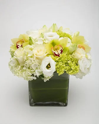 Cube with white and green hydrangea, Mondial roses, lusianthus and green cymbidium orchid heads