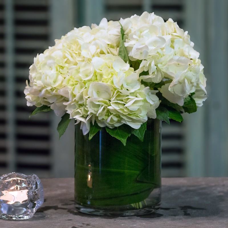 Full white hydrangea heads in a leaf-lined glass cylinder