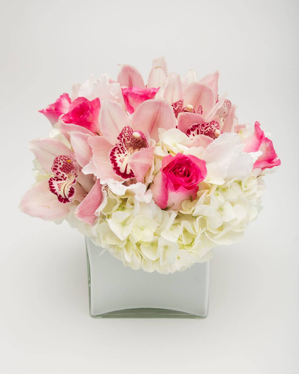 Blush pink cymbidium orchids and pink roses over white hydrangea in a glass cube
