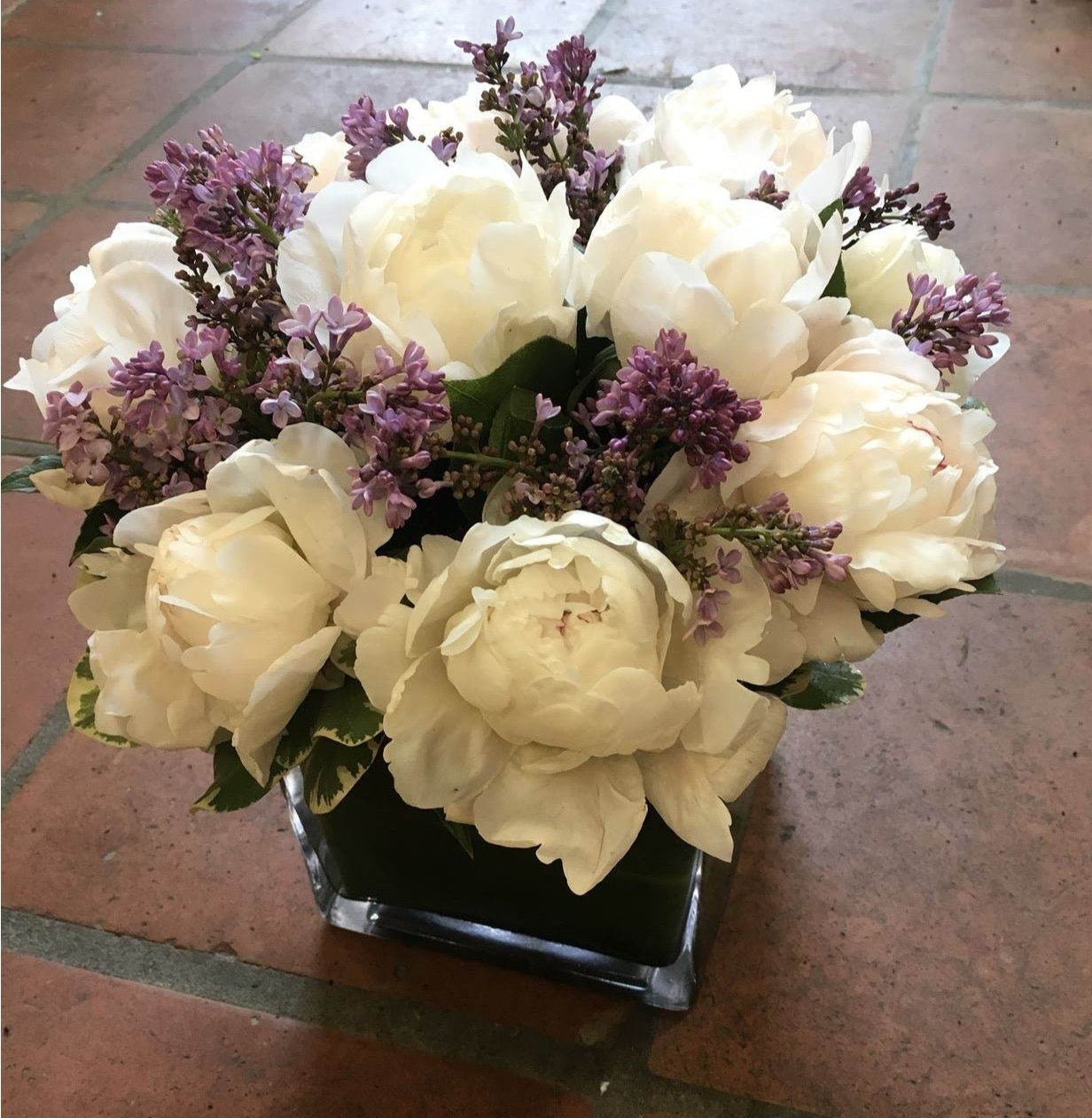 White Peonies: The Ultimate Symbol of Elegance 