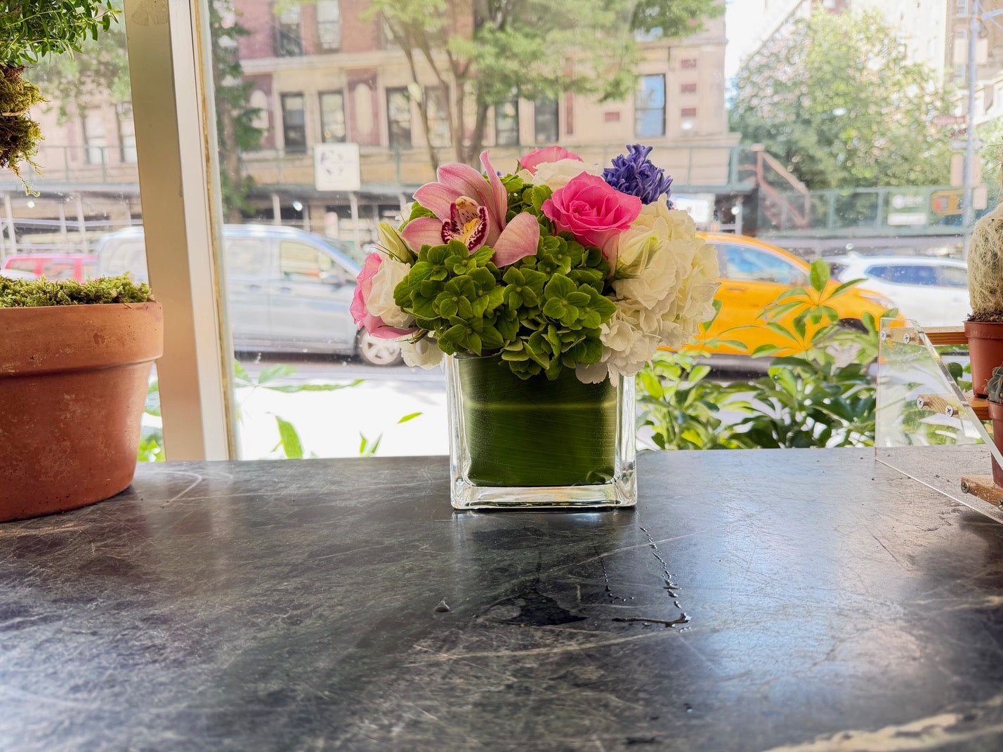 
                  
                    Eliana in a leaf-lined glass cube on the shop counter, Madison Avenue brownstones and a yellow taxi seen through the window
                  
                