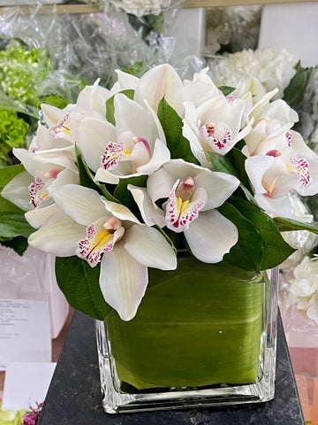 
                    
                      Cymbidium, closer view of white cymbidium orchid blooms and green leaves over a leaf-lined glass cube
                    
                  
