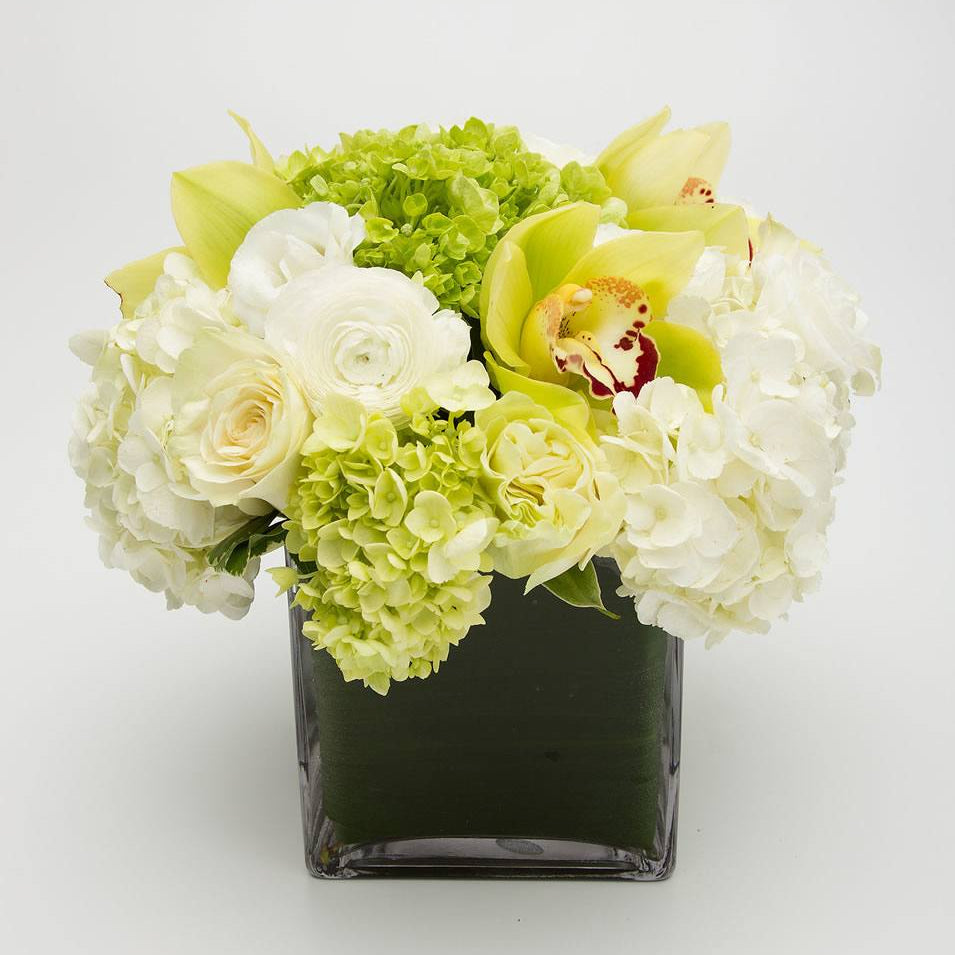 White and green hydrangea rose and orchid cube arrangement – Jerome Florists NYC
