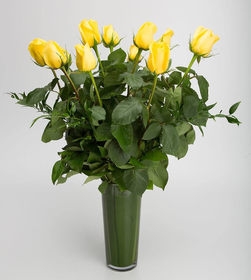 Long Stem Yellow Roses in Vase with Greenery