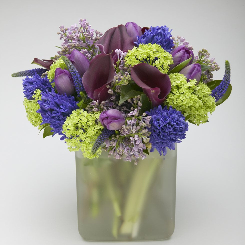 Purple calla lily, tulips, hyacinth, viburnum and veronica arrangement in glass cube – Jerome Florists NYC